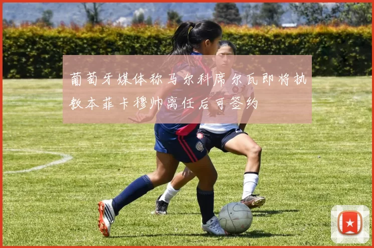 葡萄牙媒体称马尔科席尔瓦即将执教本菲卡穆帅离任后可签约