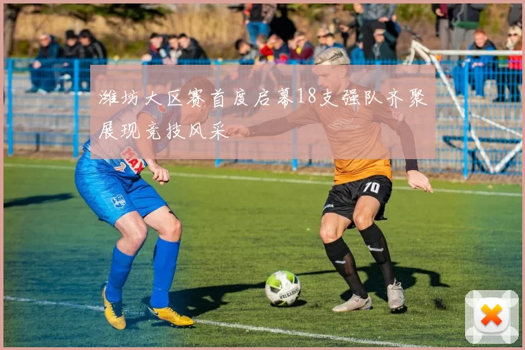 潍坊大区赛首度启幕18支强队齐聚展现竞技风采